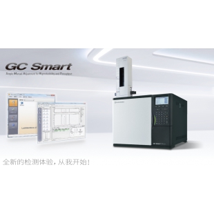 岛津GC Smart(GC-2018)气